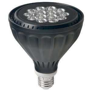   ETI 520244 PAR38 16 Watt LED Par Light Bulbs, Black