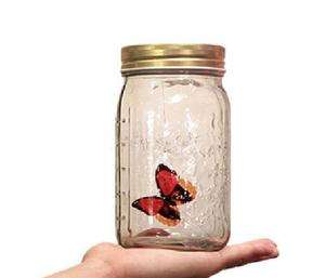   butterfly jar (red/yellow/blue/orange) senor butterfly novelty gift
