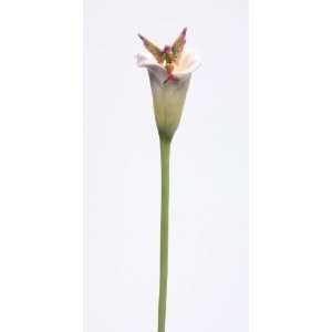   Stem Flitty Resin Flower Sheila Wolk New Release 2012