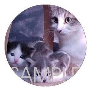   pcs   ROUND   Designer Coasters Cat/Cats   (CRCT 006)