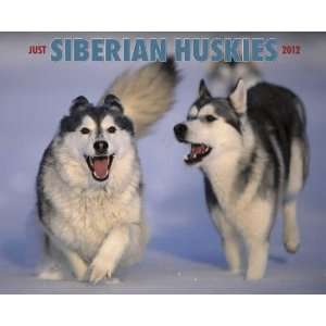  Siberian Huskies 2012 Wall Calendar