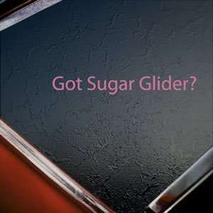  Got Sugar Glider? Pink Decal Animal House Pet Car Pink 
