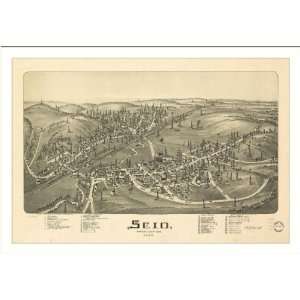  Historic Scio, Ohio, c. 1899 (M) Panoramic Map Poster 