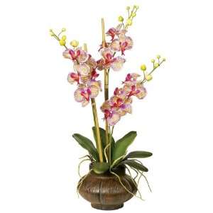    Phalaenopsis in Marble Grey Pot Flower Arrangement