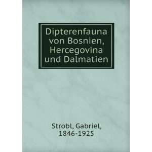   Bosnien, Hercegovina und Dalmatien Gabriel, 1846 1925 Strobl Books
