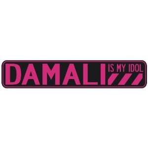   DAMALI IS MY IDOL  STREET SIGN