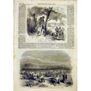   War Piedmontese Vidette Sardinians Alessandria 1859