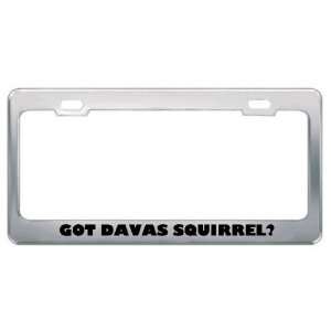  Got Davas Squirrel? Animals Pets Metal License Plate Frame 