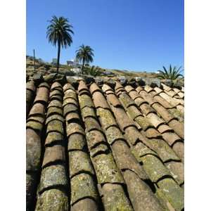 Tiles, Southeast Area Near Las Hayas, La Gomera, Canary Islands, Spain 