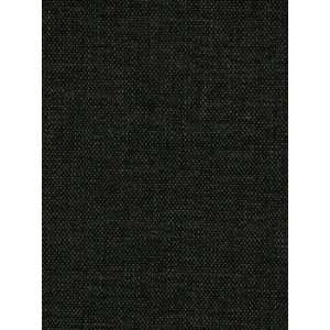  Pindler & Pindler Aldridge   Noir Fabric