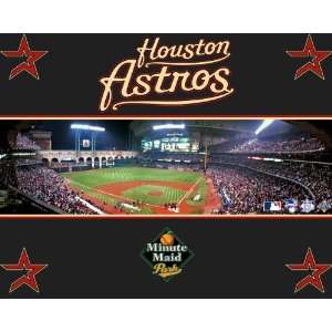  Houston Astros 8x11.5 Picture Mini Poster