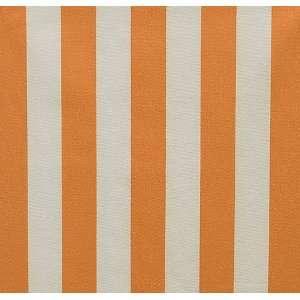  1674 Mayer in Orange by Pindler Fabric