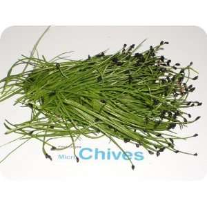Micro Greens   Chives   4 x 4 oz  Grocery & Gourmet Food