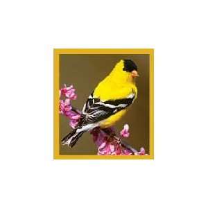  New Magnetic Bookmark Goldfinch High Quality Modern Design 