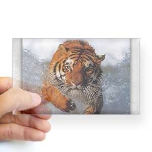  Sticker Clear (Rectangle) Bengal Tiger in Water 