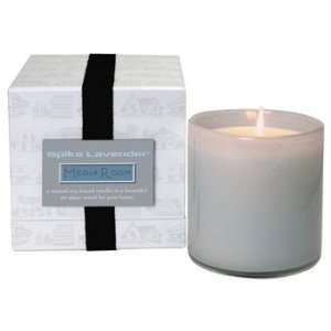  Lafco Media Room   Spike Lavender Candle Beauty