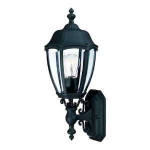 Dolan Designs 950 50 Roseville 1 Light Outdoor Wall Lighting in Black