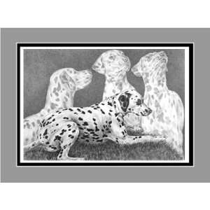  Dalmatian Dog Art   Limited Edition Print