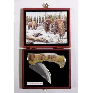  Buffalo Collector Knife & Case 