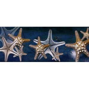 Starfish by Melinda Bradshaw 10x4 