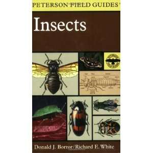  A Field Guide to Insects America North of Mexico 