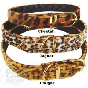  Faux Fur Buckle Collar   Cougar 10 inch