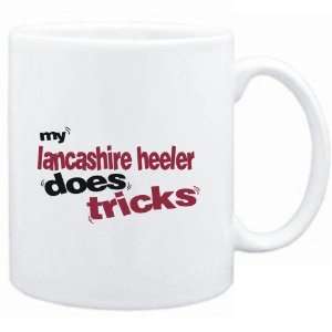  Mug White  MY Lancashire Heeler DOES TRICKS  Dogs 