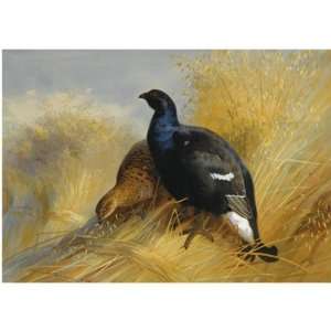  Hand Made Oil Reproduction   Archibald Thorburn   24 x 24 