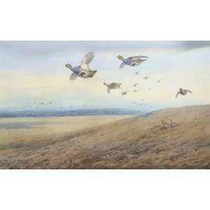   Archibald Thorburn   24 x 14 inches   Partridge In 