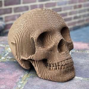  Vince The Human Skull Recycled Cardboard Sculpture Brown 