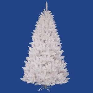 Christmas Tree   Sparkle White Spruce   A104146