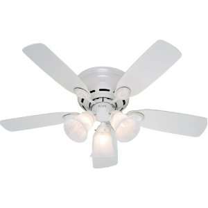  Hunter 21880 Low Profile 42 Inch 5 Blade 3 Light Ceiling 