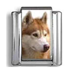  Siberian Husky Dog Photo Italian Charm Jewelry