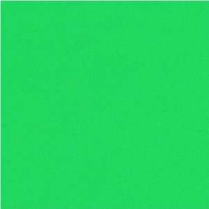  Brite Hue Meadow Green 60# 8.5x11 500 sheets Office 