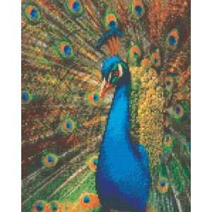  Peacock Mosaic Kit Arts, Crafts & Sewing