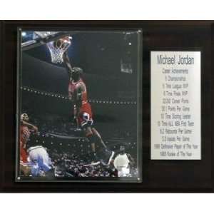   Bulls Michael Jordan 12x15 Career Stats Plaque