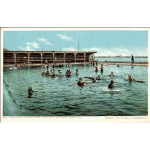 Reprint Coronado Beach CA   Childrens Bathing Pool, Tent City 1900 