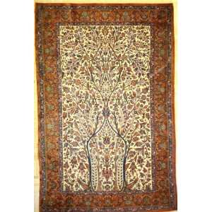  4x6 Hand Knotted Kashan Persian Rug   43x67