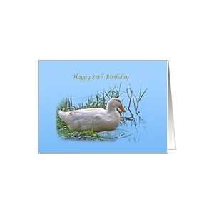  85th Birthday Card with Pekin Duck Card Toys & Games