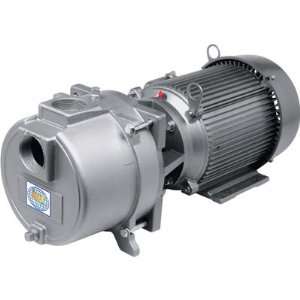  IPT Sprinkler Booster Pump   7200 GPH, 5 HP