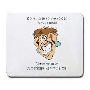 Dont listen to the voices in your head Listen to your American Eskimo 