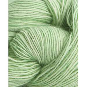   Yarn (Special Order Colors) Creme de Menthe Arts, Crafts & Sewing