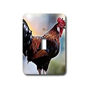  Farm Animals   Rooster   Light Switch Covers   single 