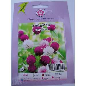   Pack 20 Approximately Seed New Sealed Made in Thailand Everything
