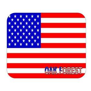  US Flag   Oak Forest, Illinois (IL) Mouse Pad Everything 