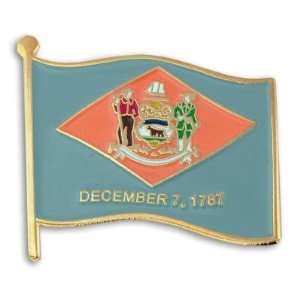 Delaware State Flag Pin