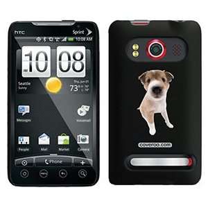  Shetland Sheepdog Puppy on HTC Evo 4G Case  Players 