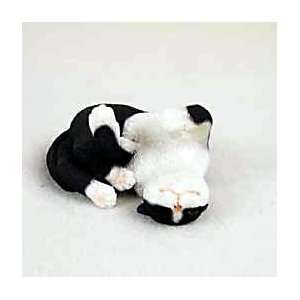  CAT BLACK/WHITE Tabby sleeps upside down FEELS SO GOOD 