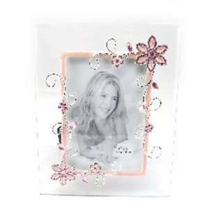  Picture frames Belle De Soie pink.