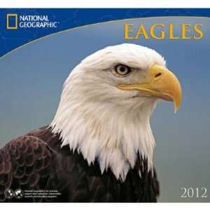  Eagles   National Geographic 2012 Wall Calendar Office 